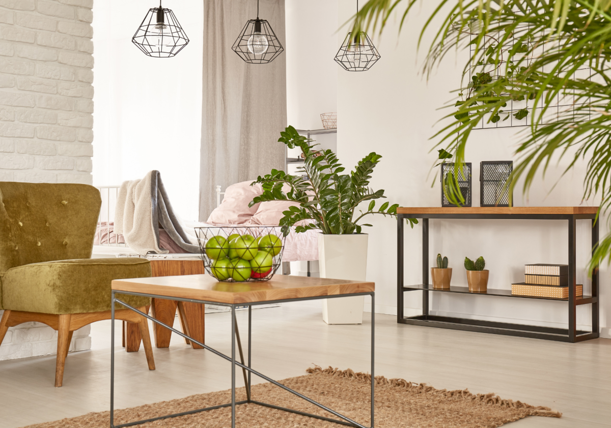 piante da interno poca luce