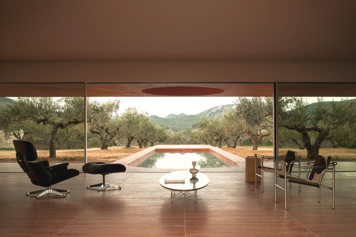 Casa en medio de olivos