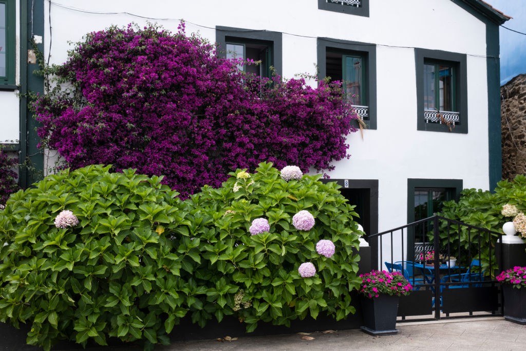 Vivienda en A Coruña
