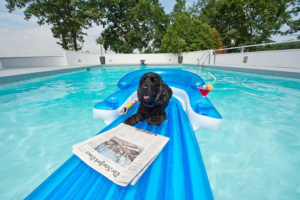 Consejos para piscinas
