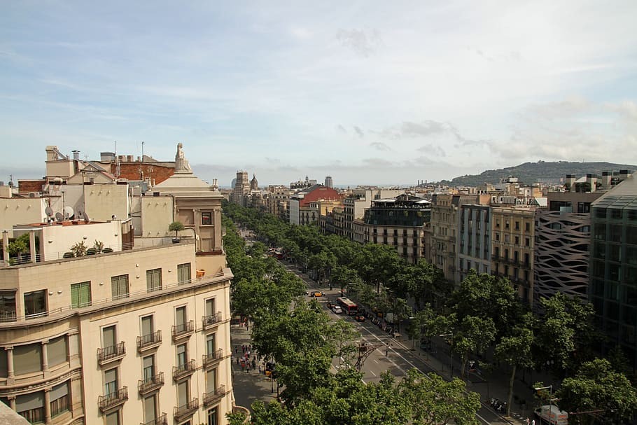 Paseo y tiendas - Opiniones sobre Paseo de Gracia, Barcelona