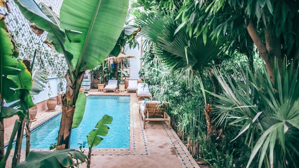 jardim com piscina