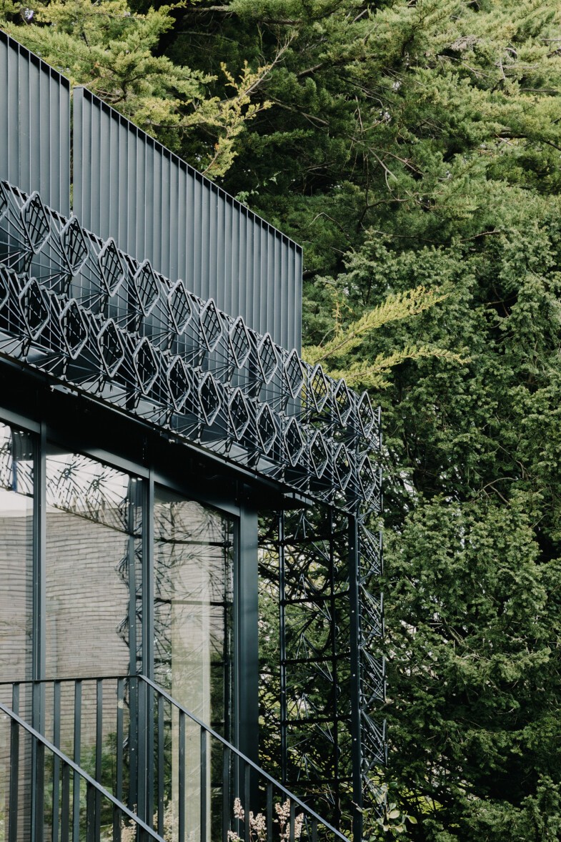 Detalle de la entrada