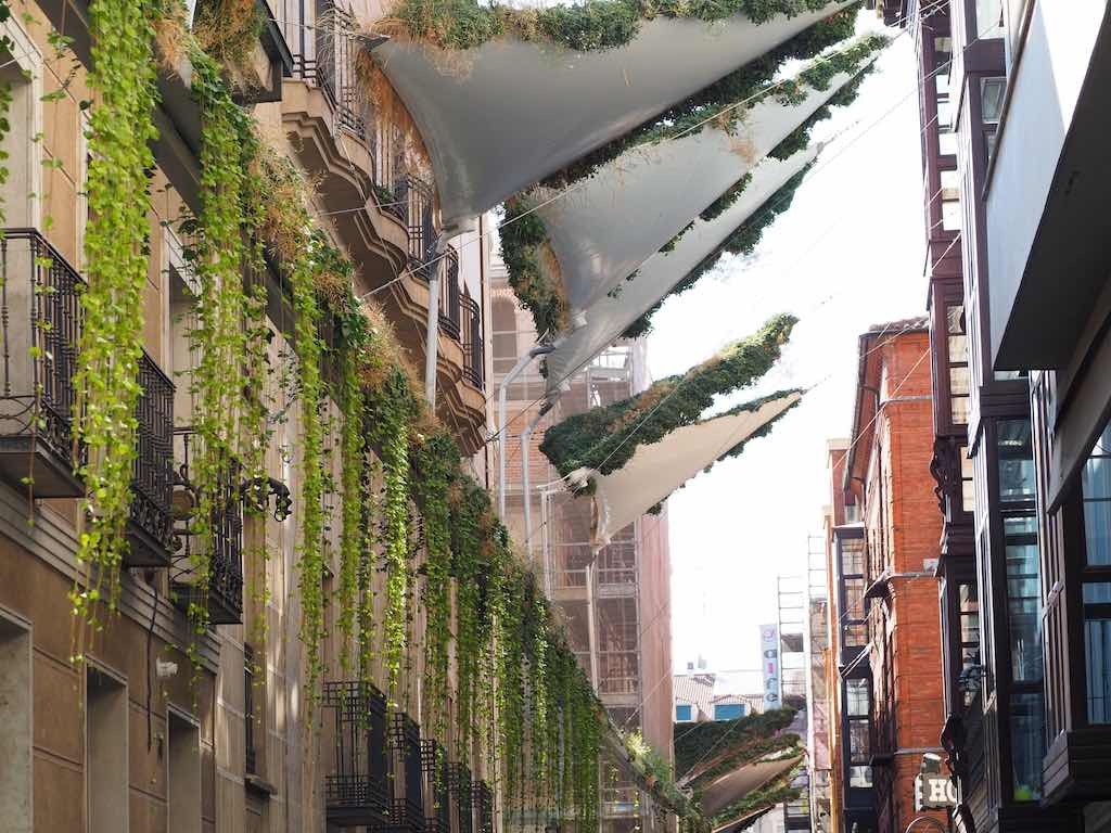 Green Shades