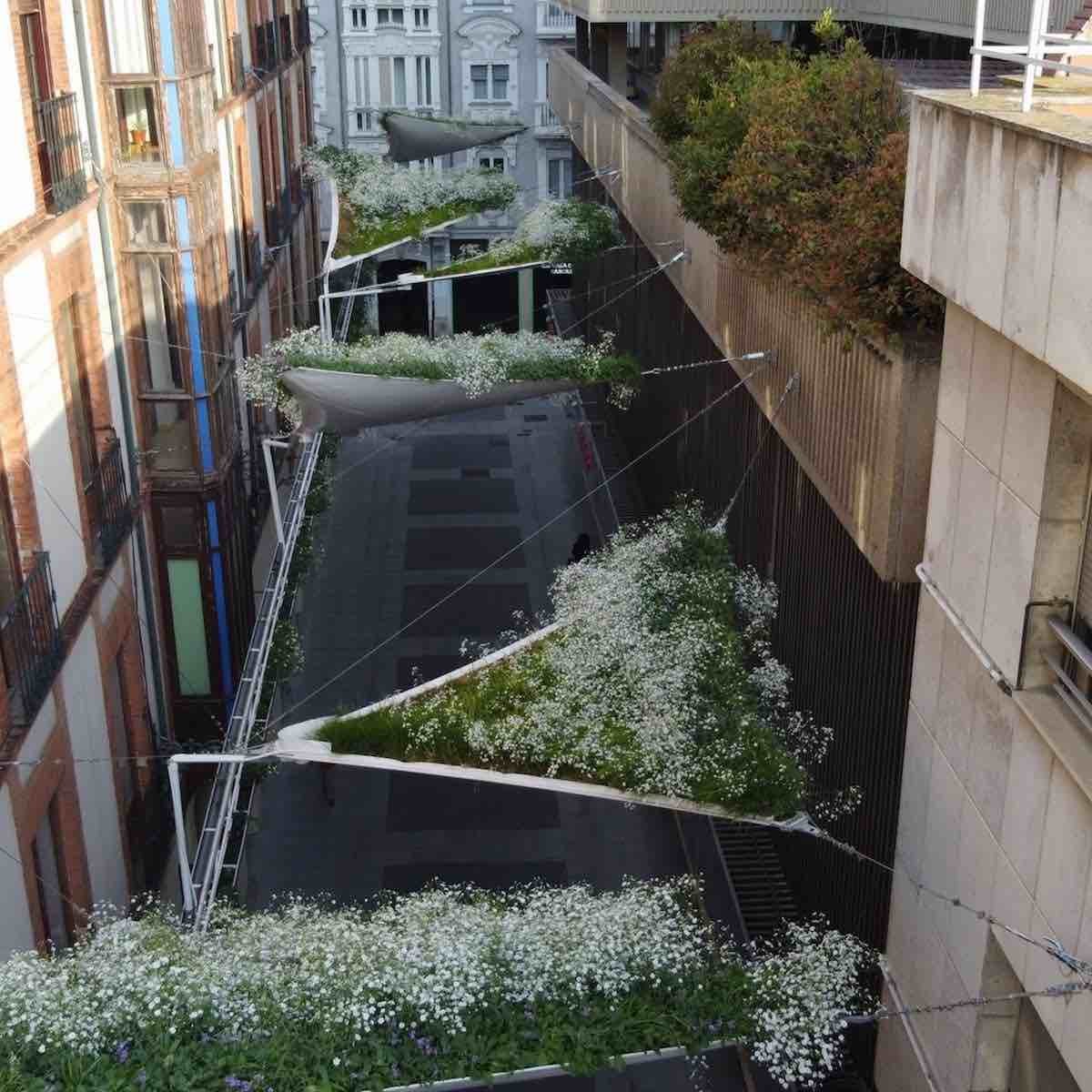 Toldo vegetal