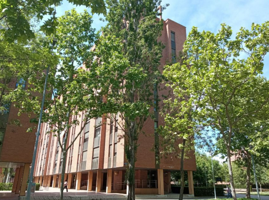 Nachbargemeinschaft muss 12.000 Euro an Postboten nach Sturz im Hauseingang zahlen