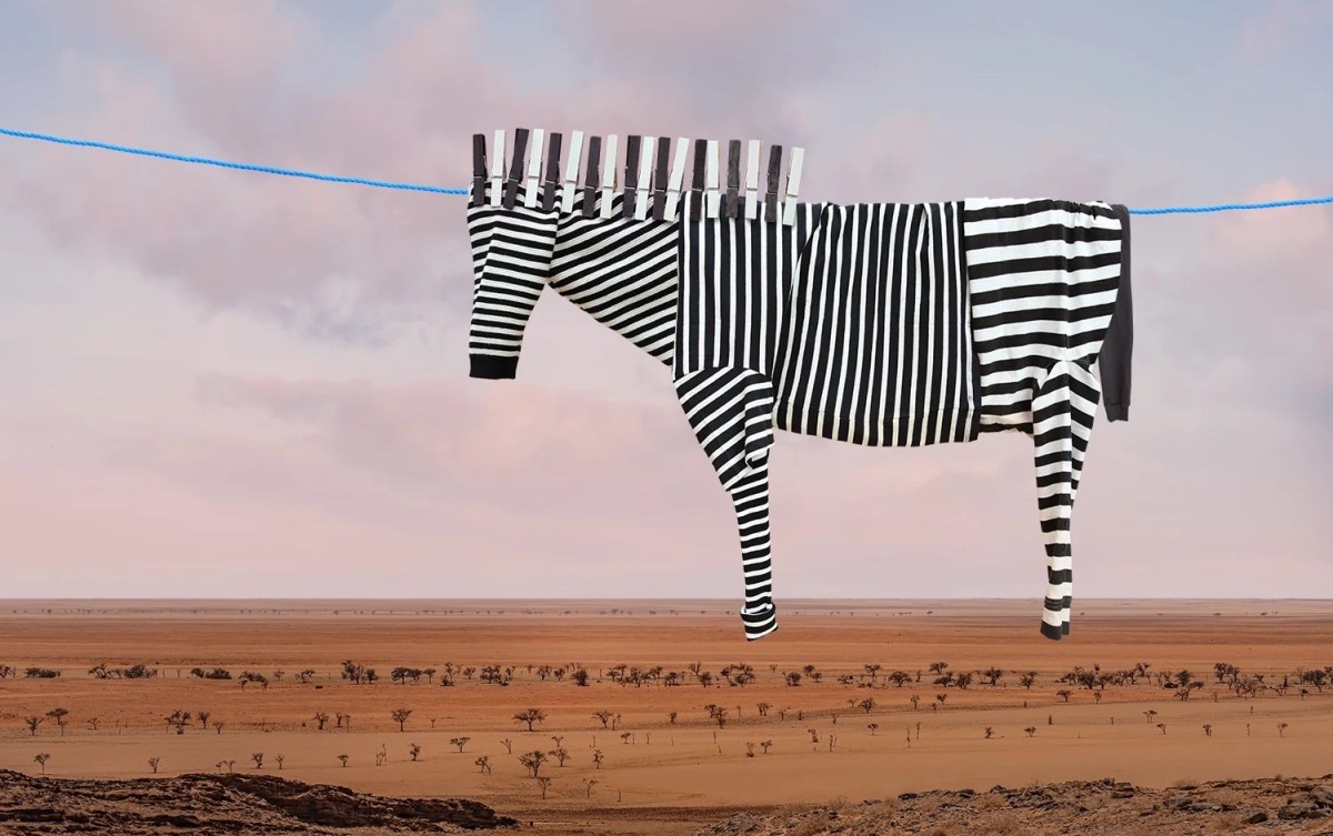 zebra de Helga Stentzel