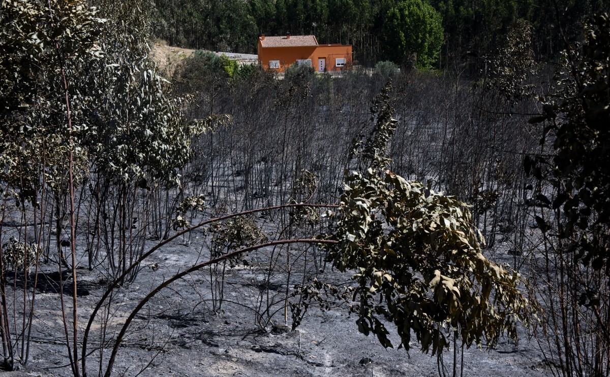 seguros contra incêndios