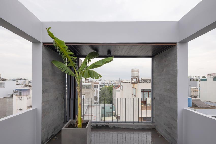 Terraza con una planta