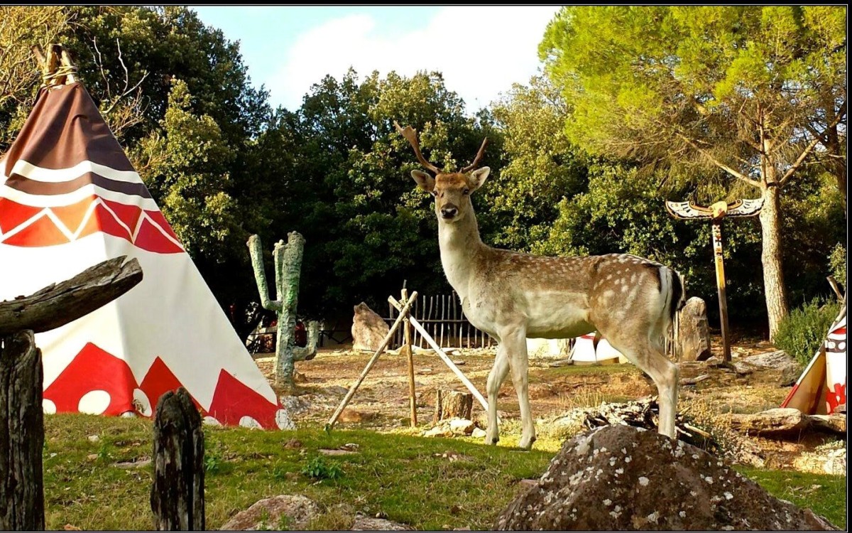 Città della Domenica