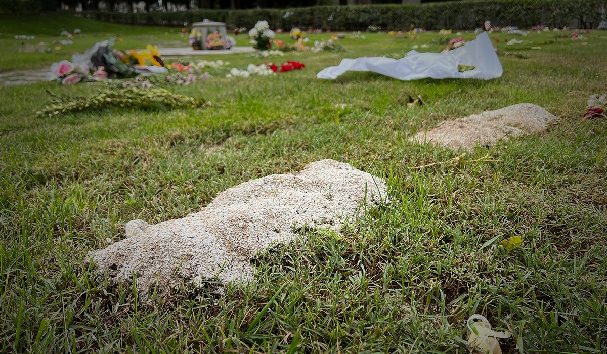 Detalle de cenizas depositadas en el Jardín del Recuerdo. Detalle de cenizas depositadas en el Jardín del Recuerdo.