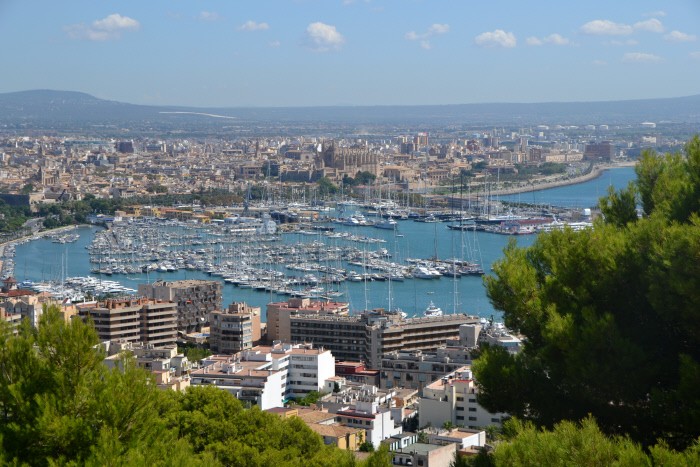 Palma