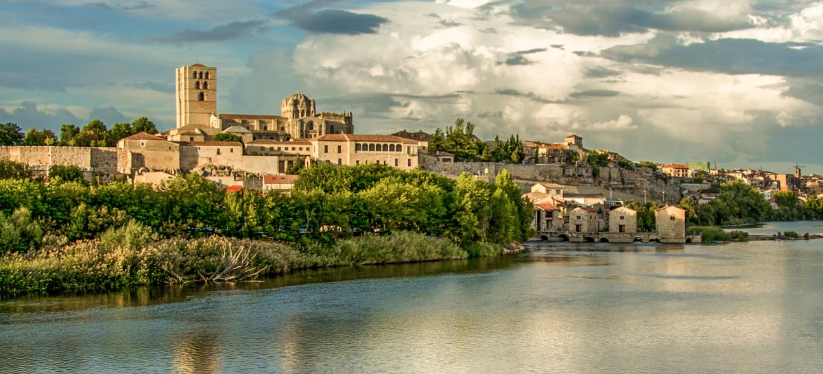 Zamora