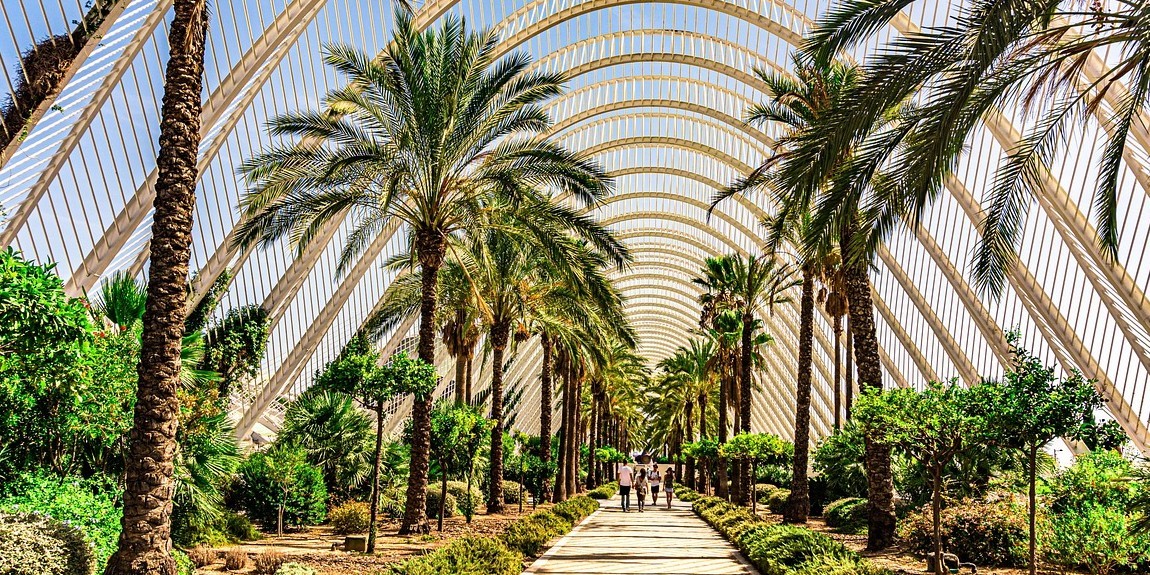 Living in Valencia: pros and cons, best areas and quality of life