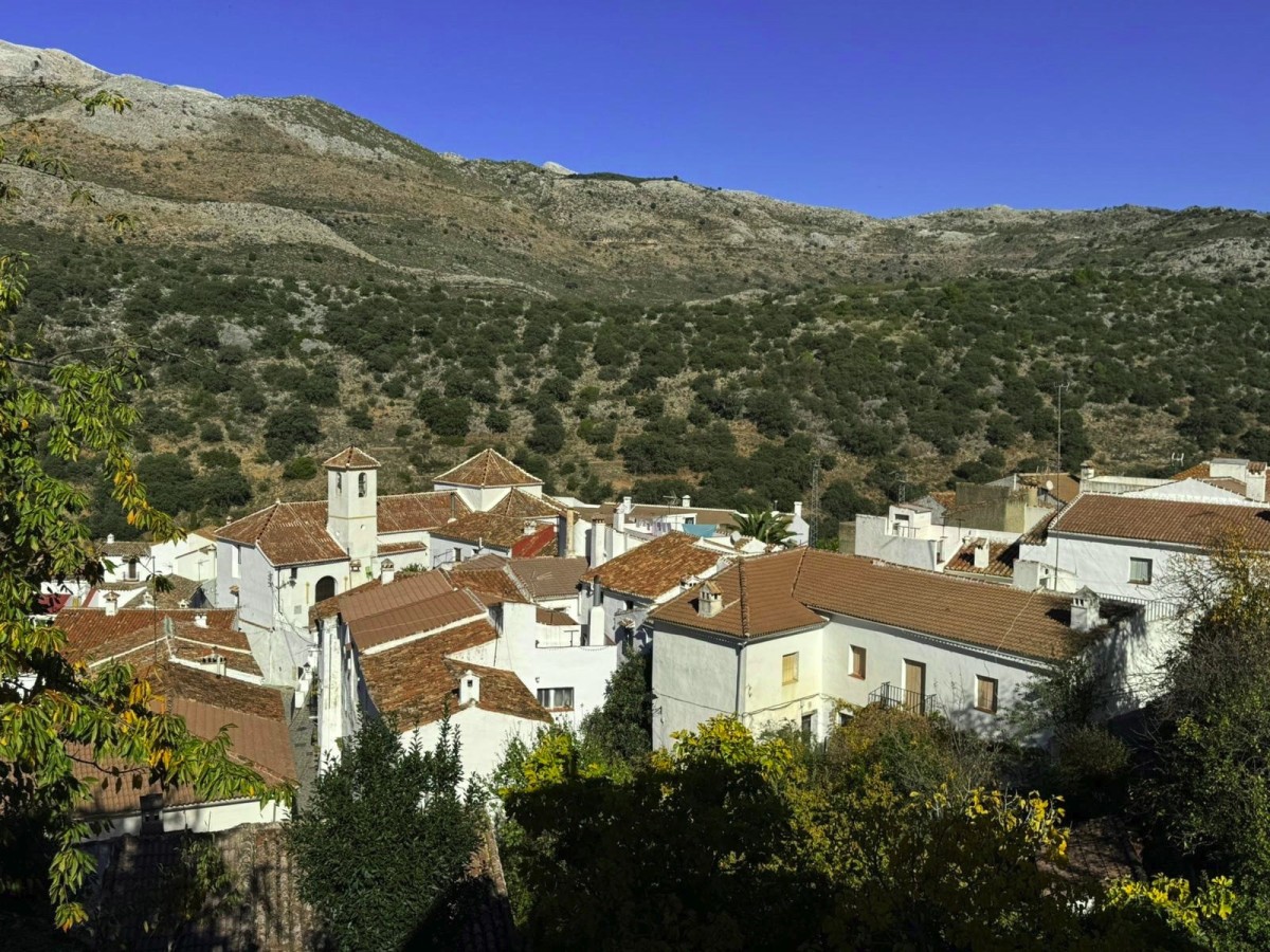 Vistas de Parauta