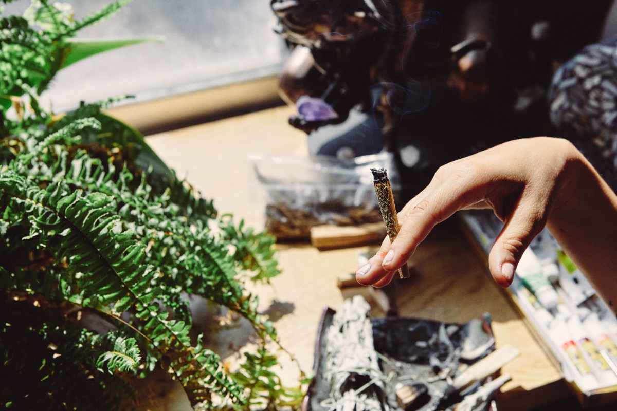 ¿Qué pasa si mis inquilinos cultivan marihuana?