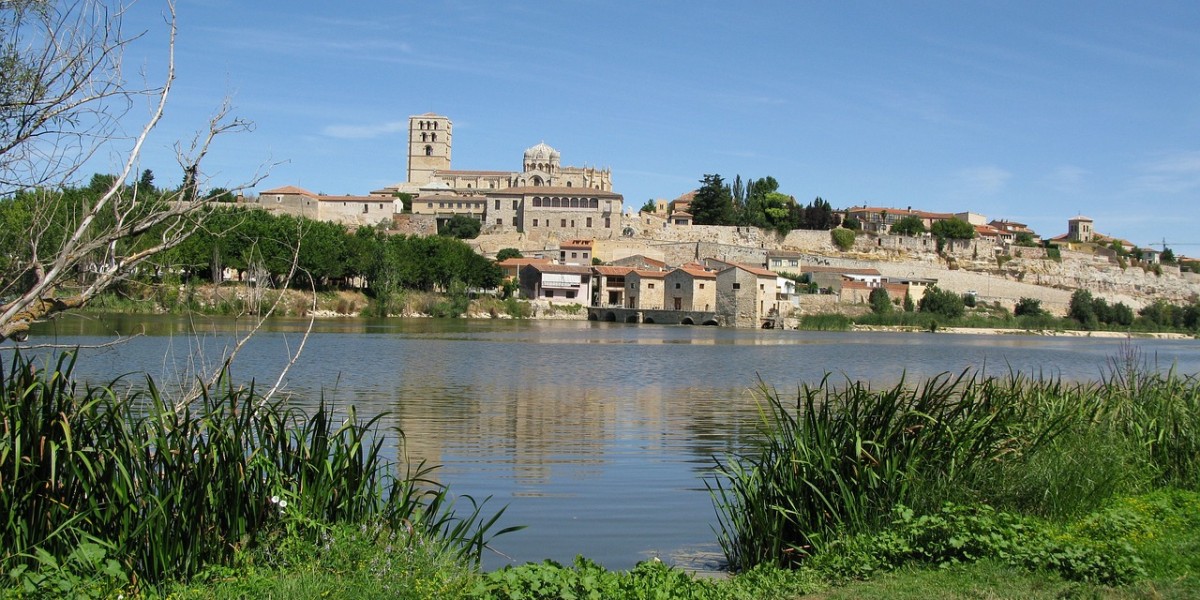 Zamora