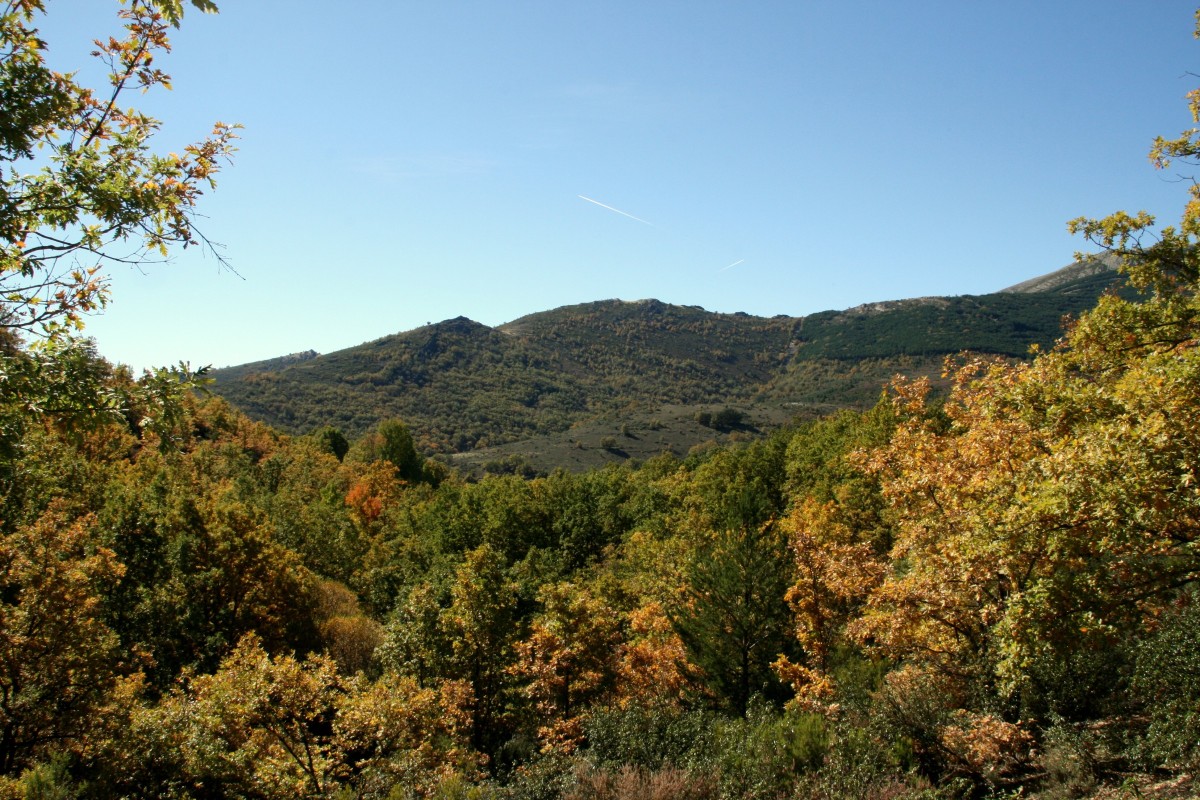 Horcajuelo de la Sierra: a Madrid village in a Biosphere Reserve