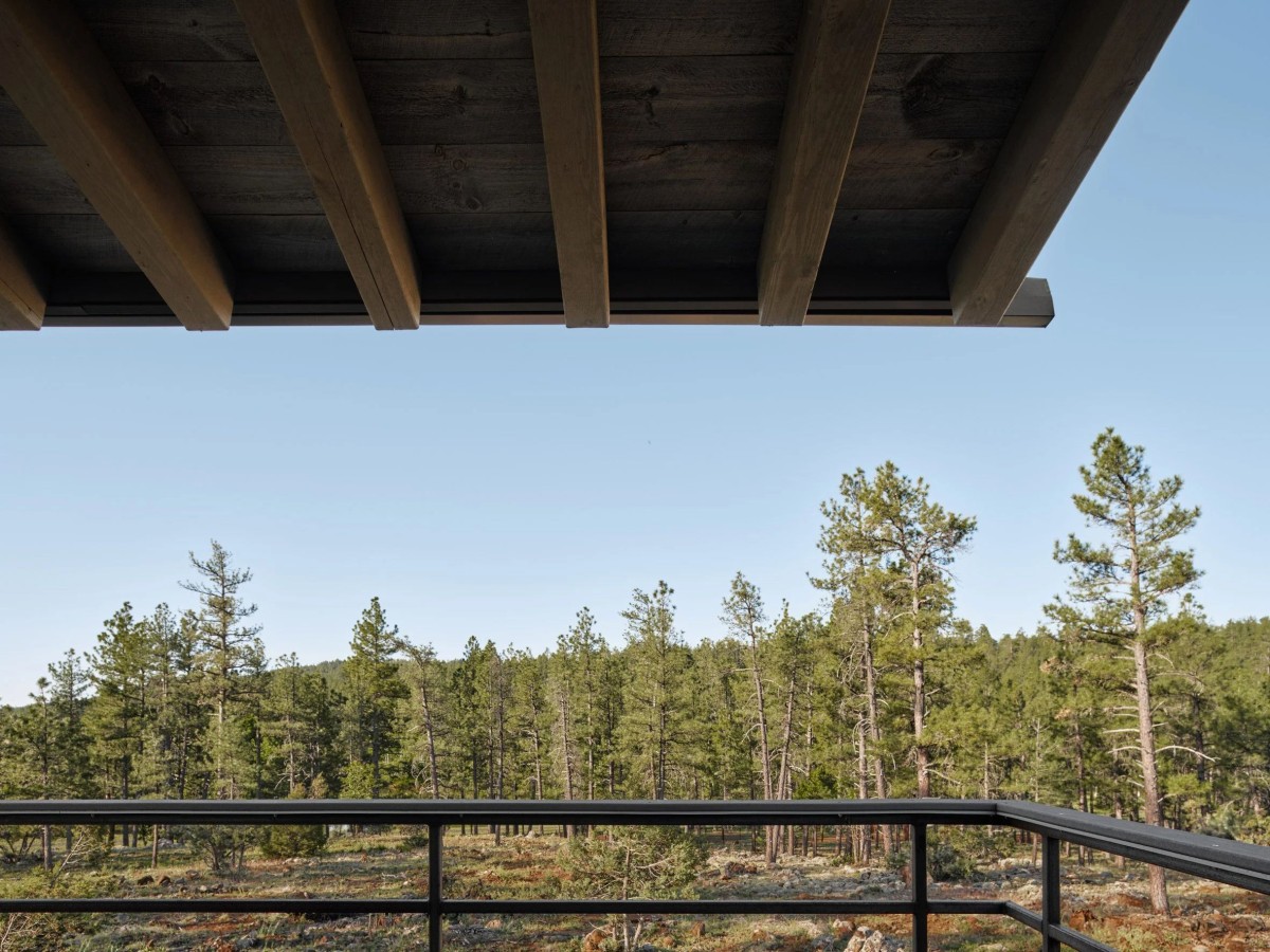 Las vistas desde la torre ofrecen una visión perfecta del bosque que rodea la vivienda.