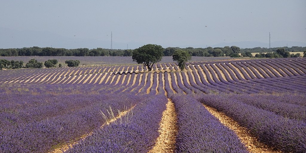 Brihuega