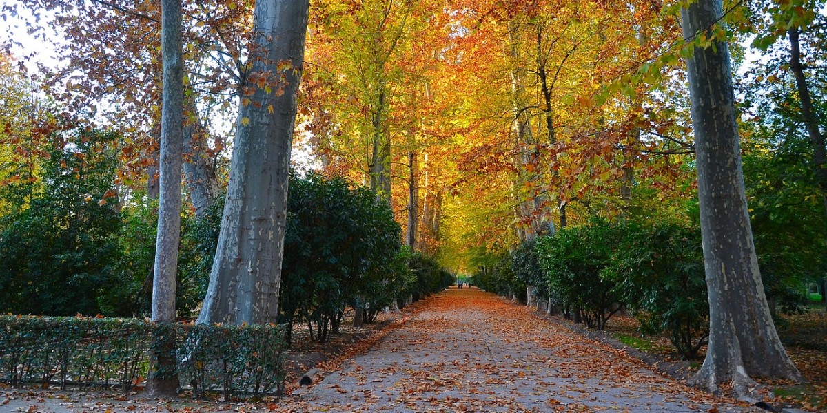 Aranjuez