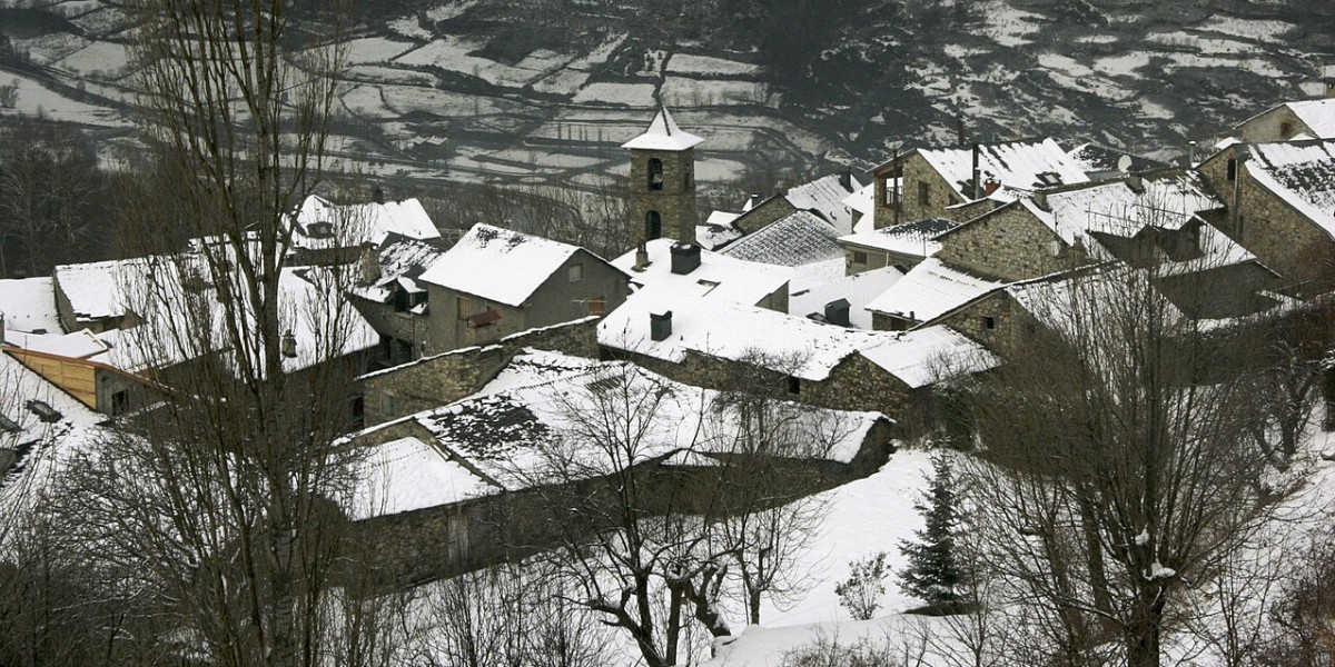 Cerler
