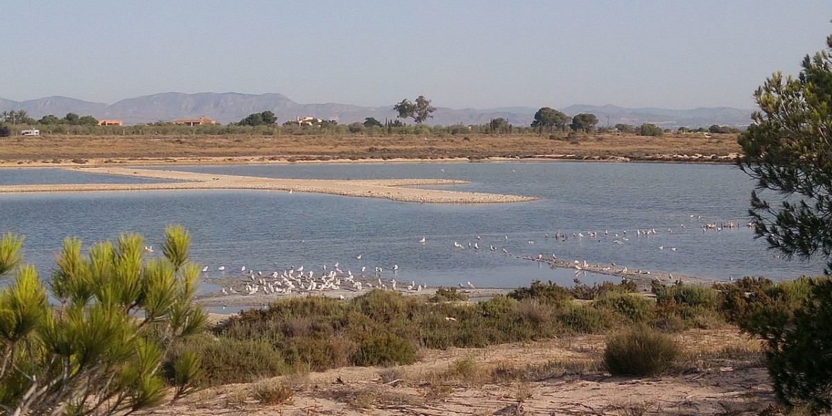 Santa Pola