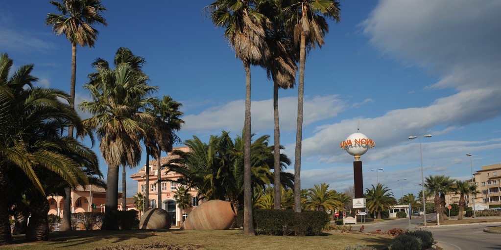 Oliva