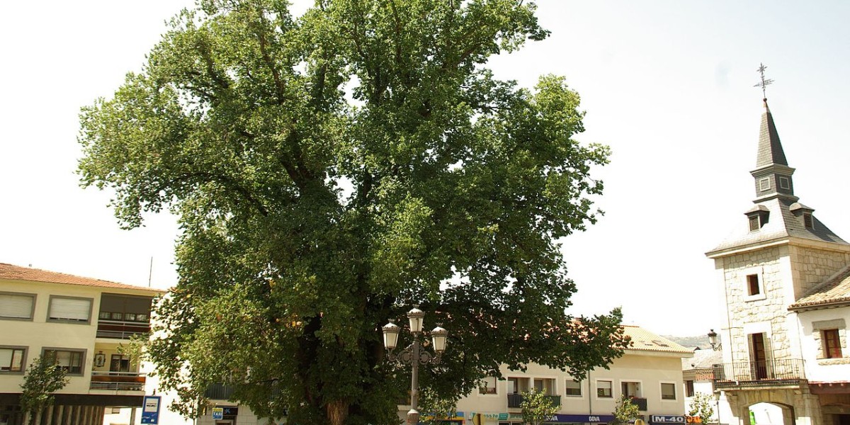 Guadarrama
