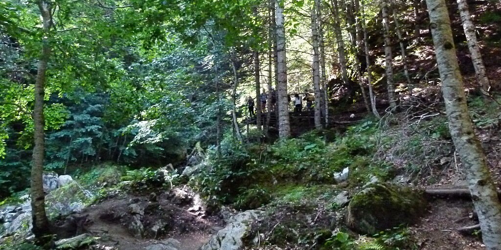 Per Pere López Brosa - CC BY-SA 4.0 / Wikimedia commons