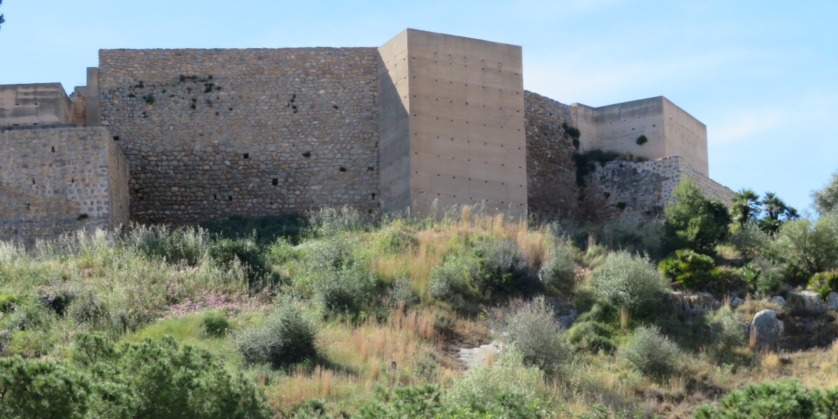 De Juan Emilio Prades Bel - CC BY-SA 4.0 / Wikimedia commons