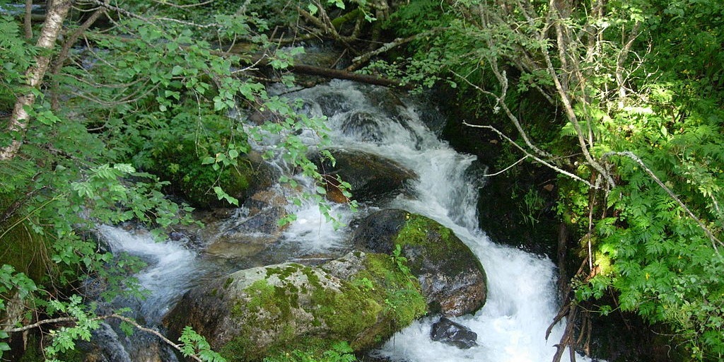 De Pedroserafin - CC BY-SA 3.0 / Wikimedia commons