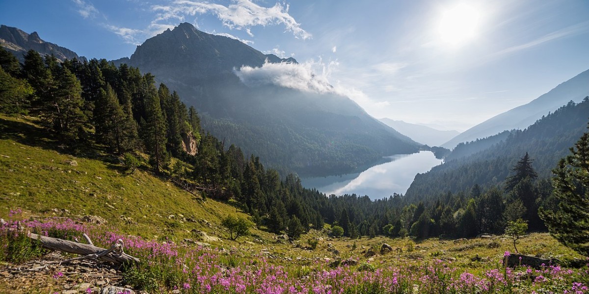 De DAVID ILIFF, CC BY-SA 3.0 / Wikimedia commons