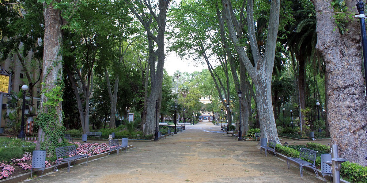 Algeciras