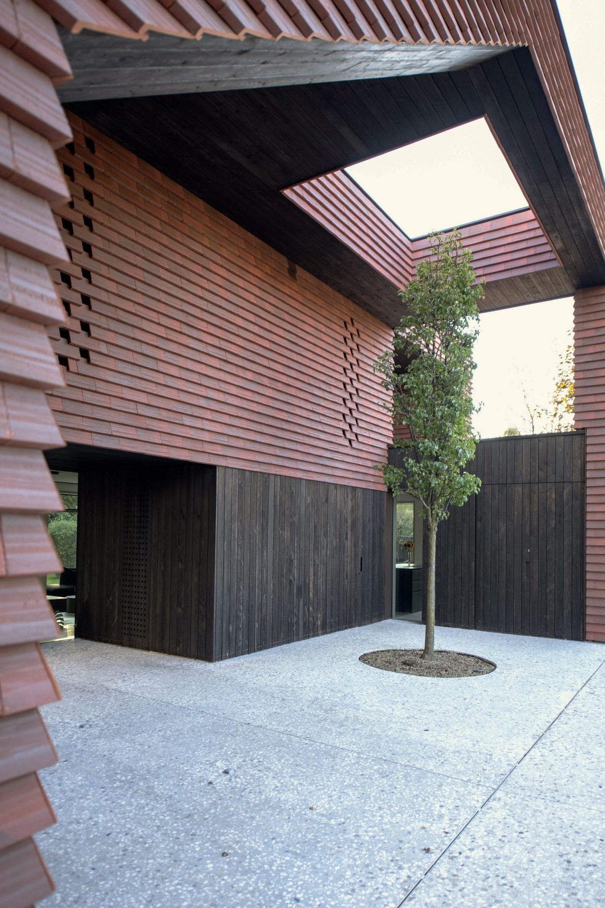 La marquesina “se rompe” para permitir que un árbol ya existente antes de la construcción de la vivienda, reciba luz y espacio para crecer.