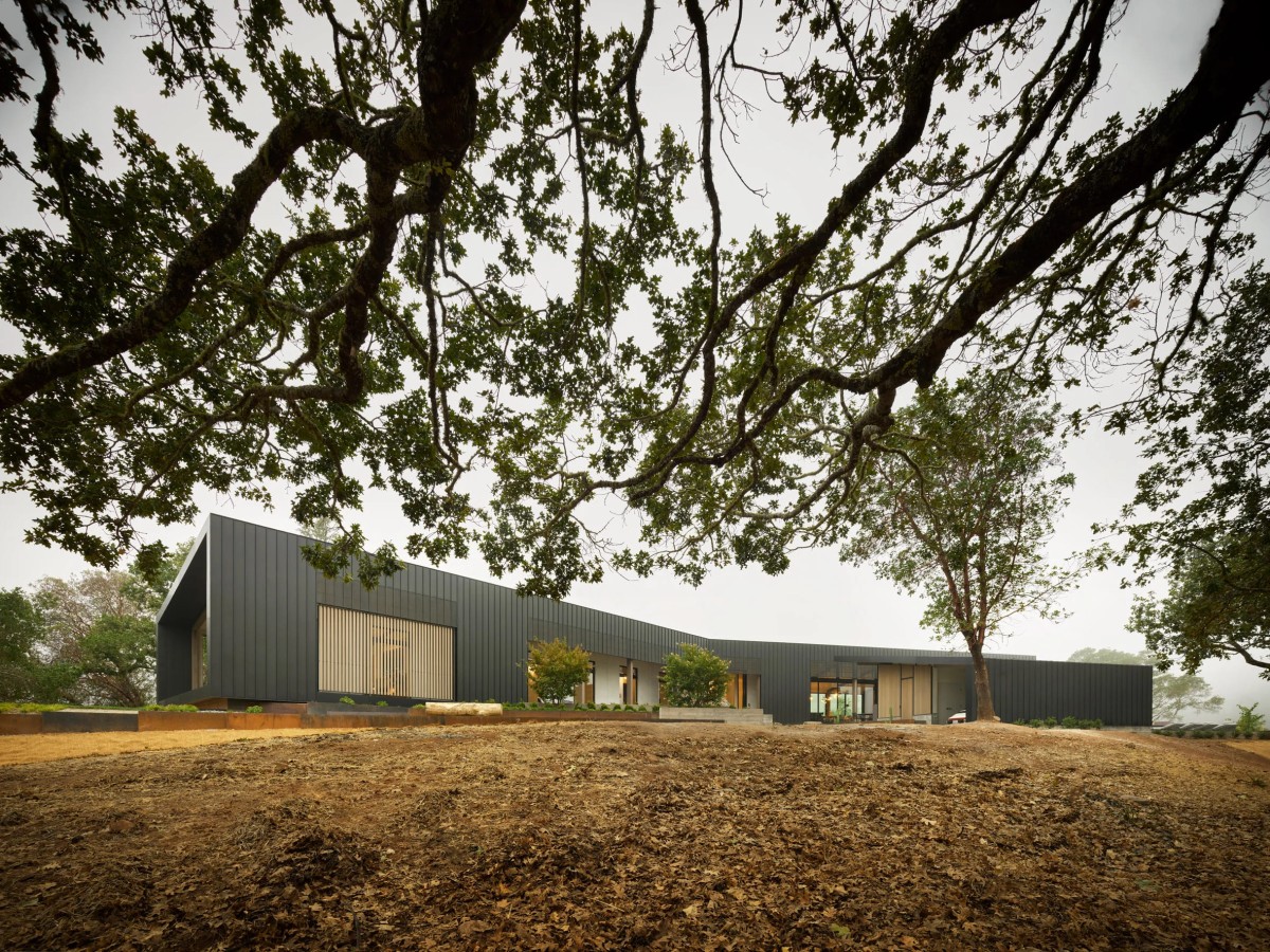La casa está revestida con paneles de zinc de junta alzada para resistir los elementos naturales, como incendios forestales.