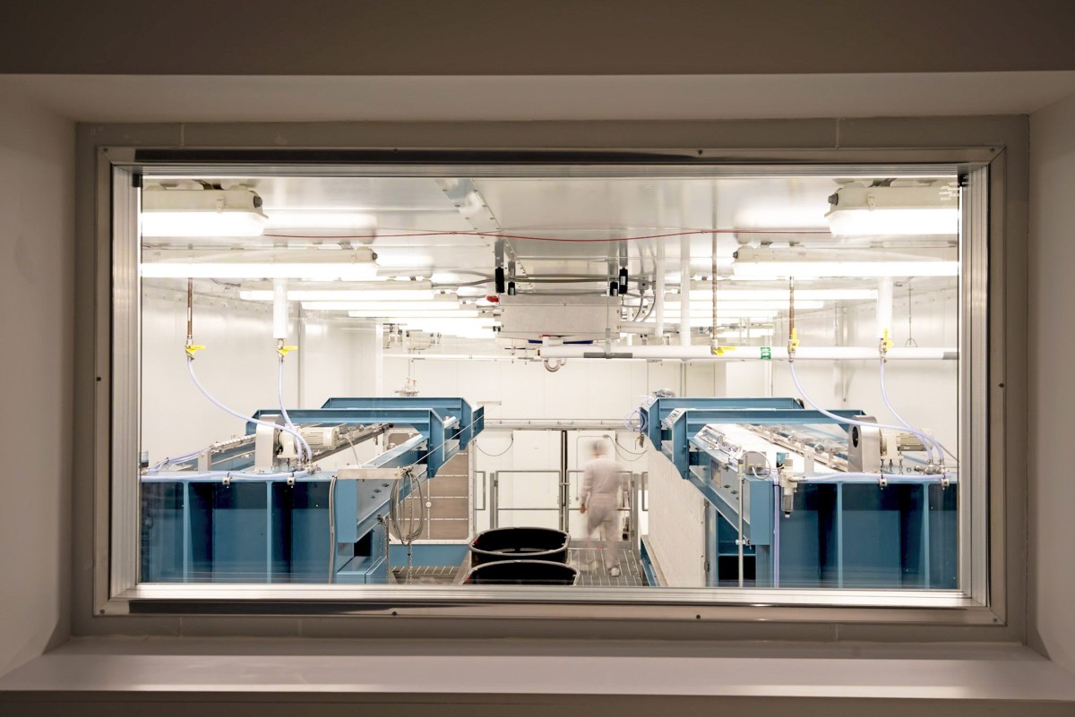Las ventanas permiten a los visitantes observar el proceso de elaboración mientras disfrutan de una sala de degustación.