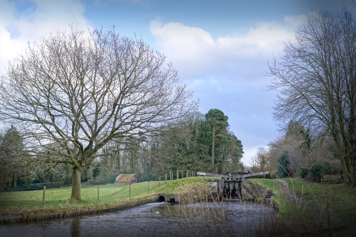 La cabina se encuentra rodeada de bosque y está concebida como una cabaña de madera distinguida por su forma orgánica que evocan un capullo.