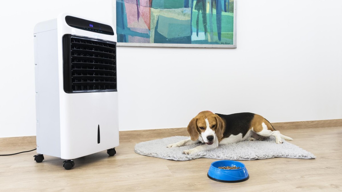 Climatizador evaporativo