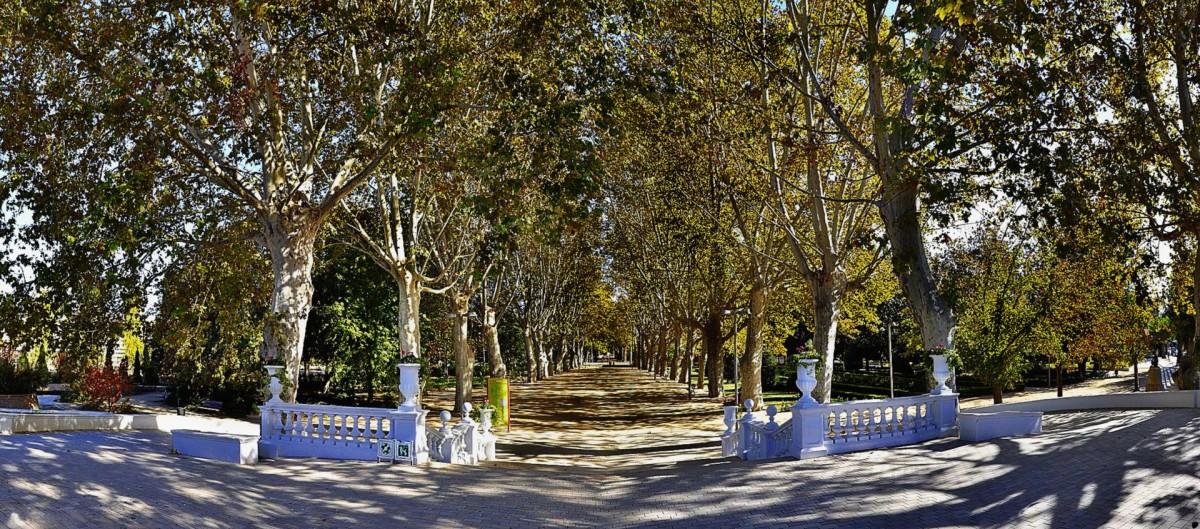 Jardines