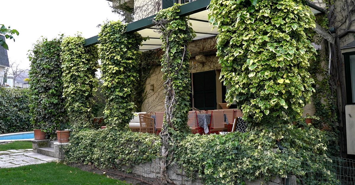 La casa de Pilar Ferrer