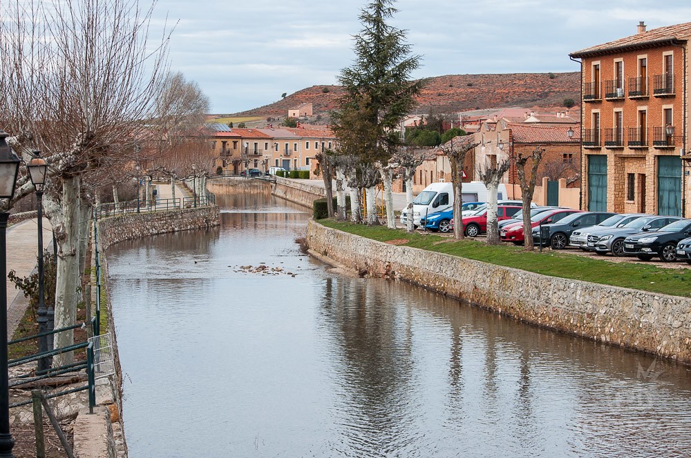 Ayllon