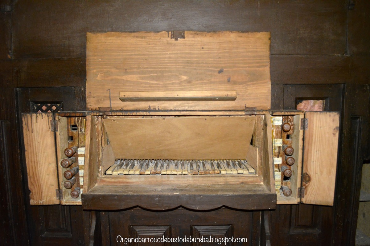 Detalle del órgano