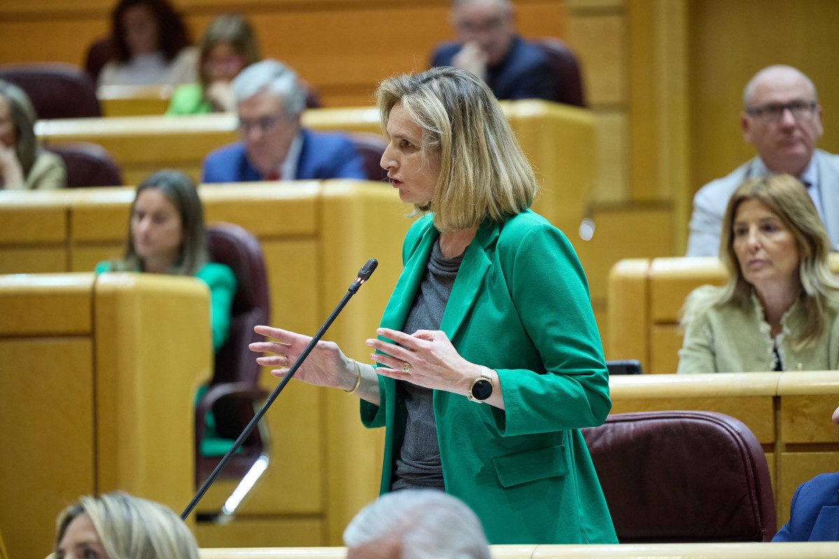 La senadora del PP, Paloma Martín, durante una sesión plenaria en el Senado