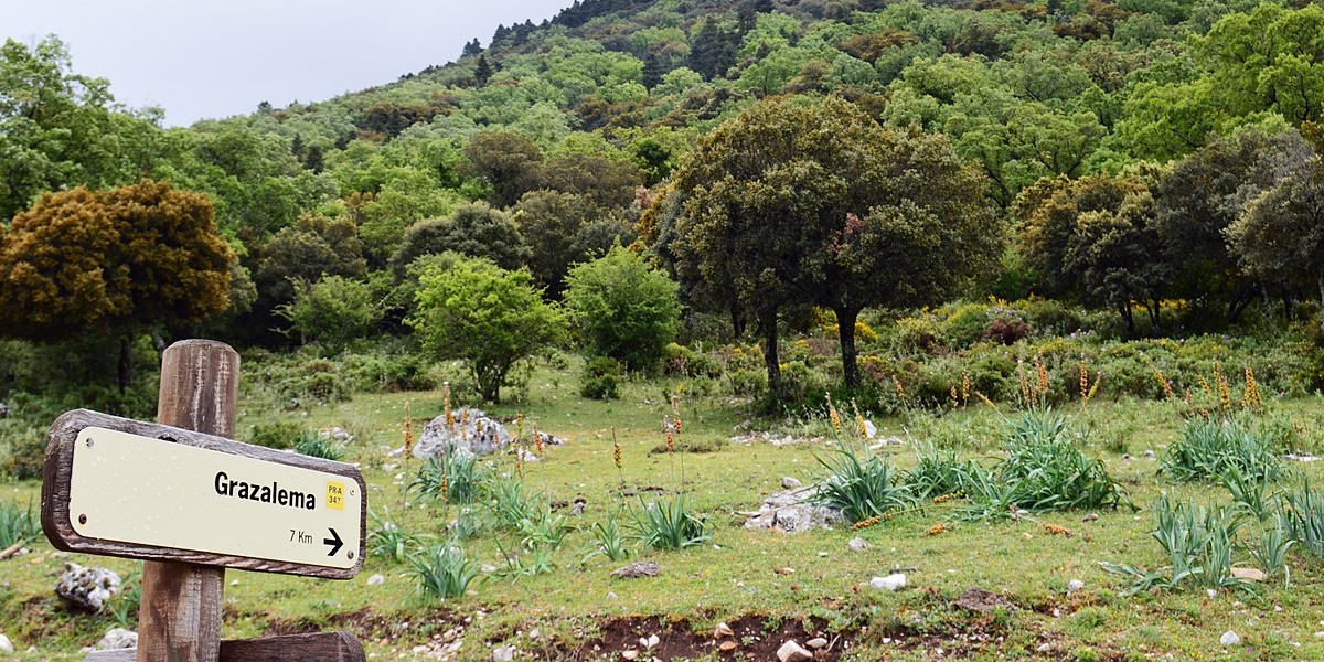 Grazalema