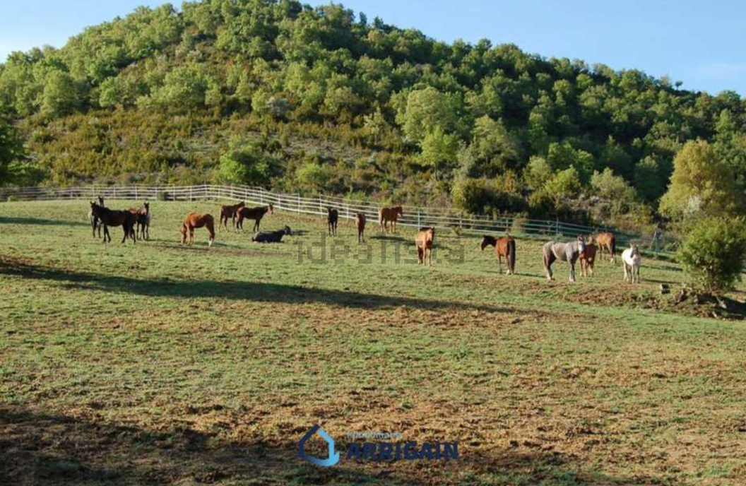 La vivienda más lujosa de Aragón