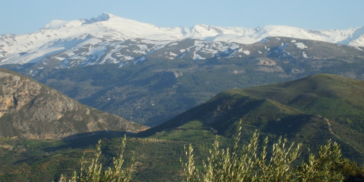 Sierra Nevada