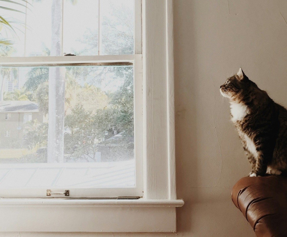 Com baixar la temperatura de casa a l'estiu