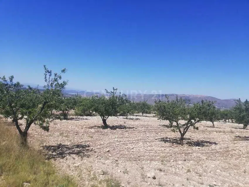 Terreno urbanizable en venta en Murcia