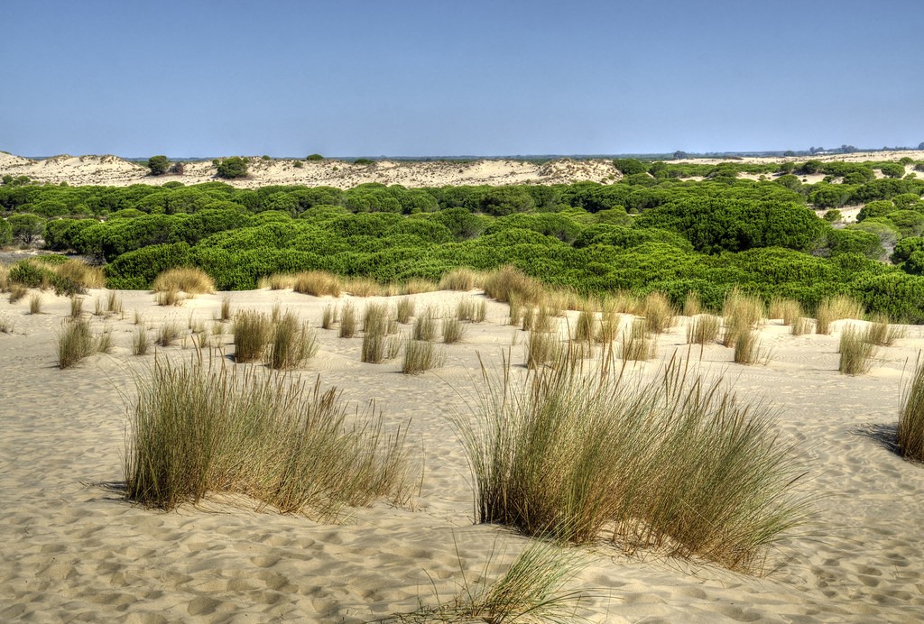 Doñana-Nationalpark